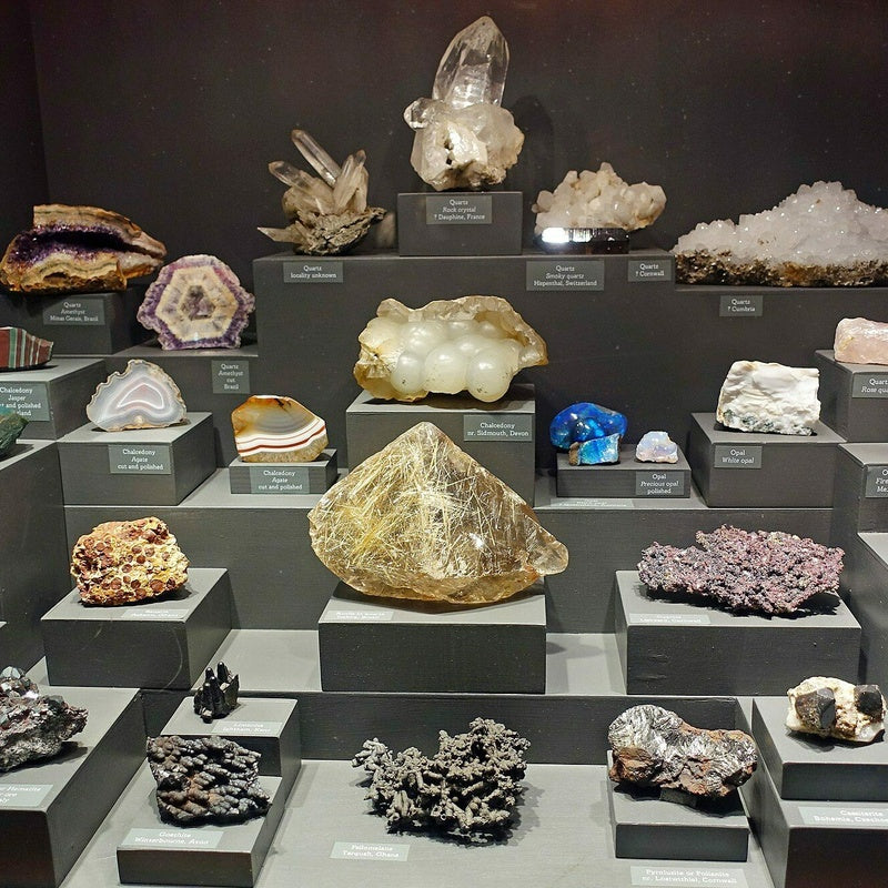 Six Bay Mineral and Fossil Display Wall in Gallery White Lacquer