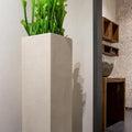 Tall Specimen Plant Display Column in Solid Ash