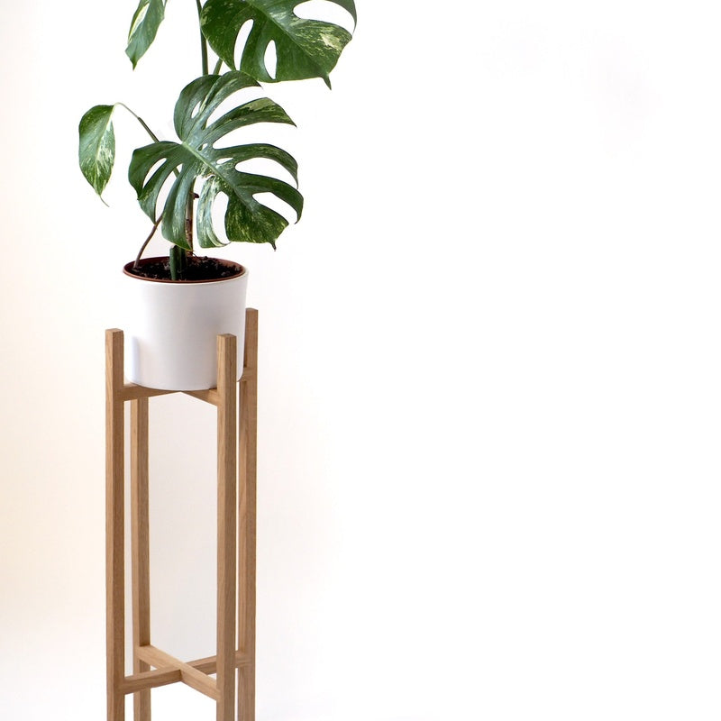 Tall Specimen Plant Stand 400mm by 1200mm High in Solid Oak