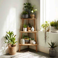 Three Tier Corner Plant Stand in Solid Ash